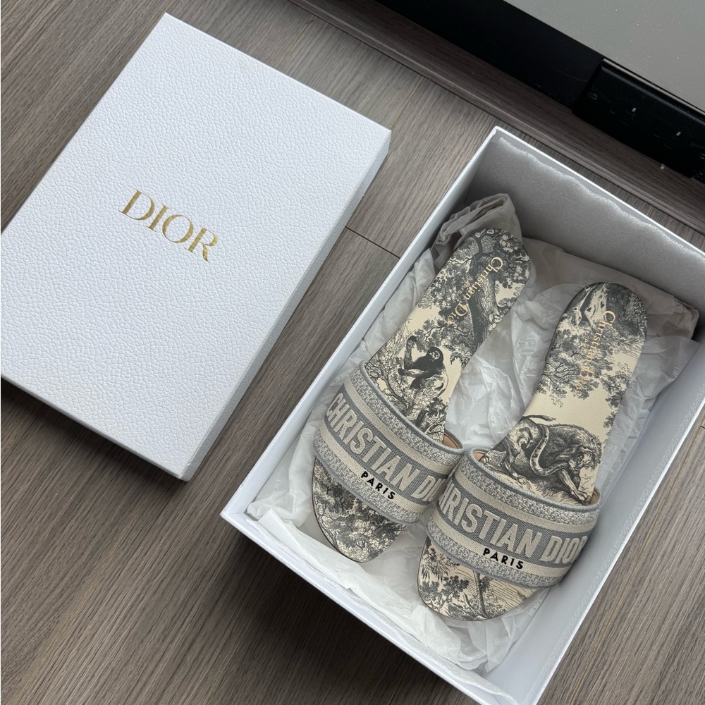 Dior Dway Slide Sandals